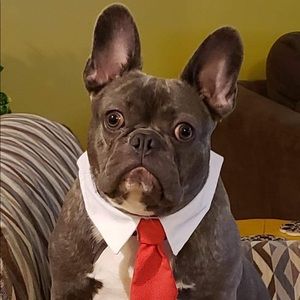 Meet your Posher, Brian